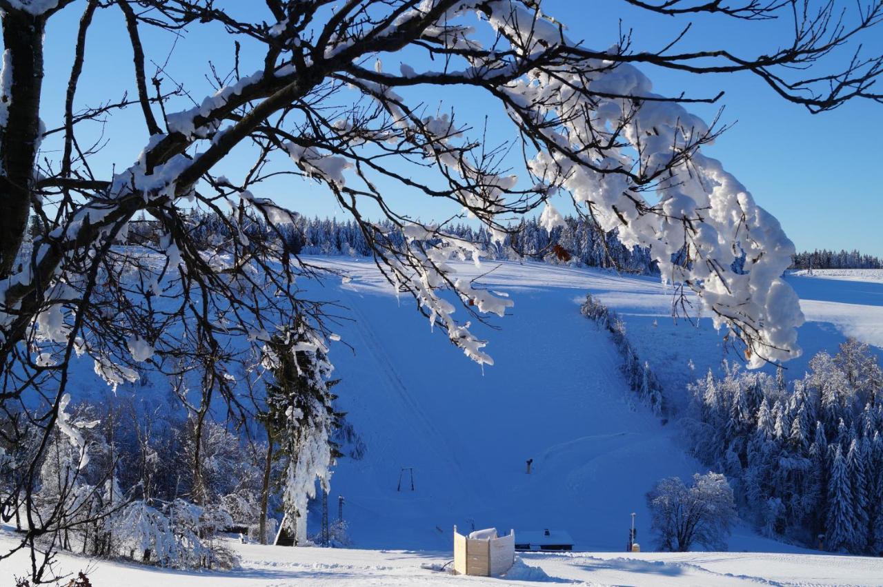 Hotel Pension De Gasterei Winterberg Exteriér fotografie